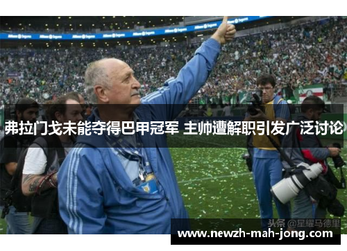 弗拉门戈未能夺得巴甲冠军 主帅遭解职引发广泛讨论